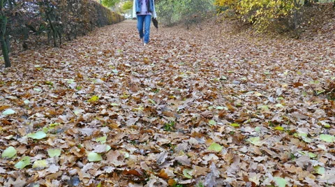 Barefoot through the leaves Stock Footage 56735040