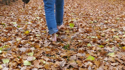 Barefoot through the leaves Stock Footage 56737059