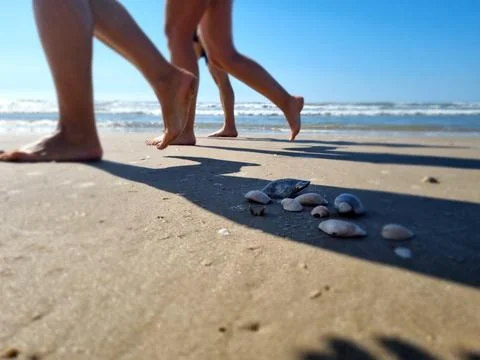 Barefoot walk on the beach with shells Stock Photos