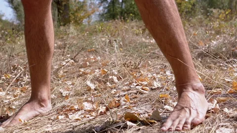 Barefoot Walking on Dry Grass Stock Footage 293259575