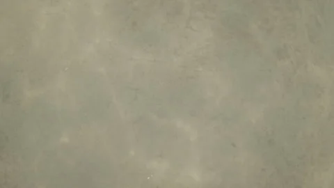Barefoot walking on a sandy river bottom, immersed in cloudy water. Exploring 動画素材 343237756