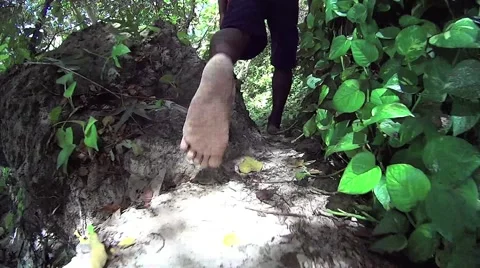 Barefoot walking through beach trail Stock Footage 47130970
