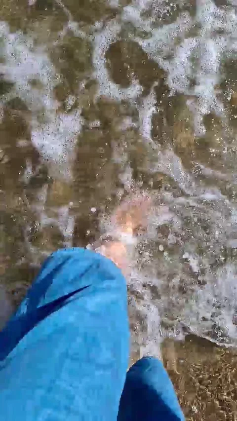 Barefoot Walking on Wet Sand at Beach Stock Footage 277404395