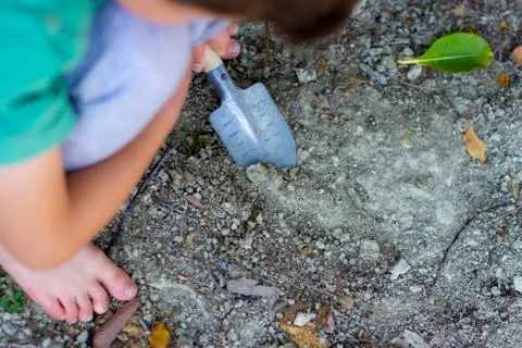 Barefooted Young Child Digging in Dirt with Shovel in the Backyard Stock Photos