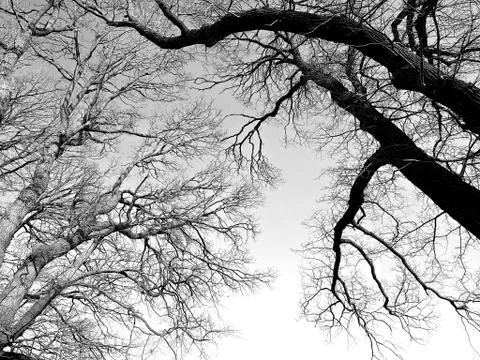 Barely there Stock Photos