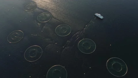 Barencevo sea 스톡 동영상 153423606