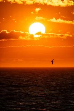 Barents Sea Stock Photos