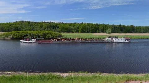 A barge floating down the Oder River in the Lower Oder Valley National Park Stock Footage 308964344