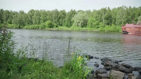 Barge with garbage floats along clean river past beautiful wild flowers of Stock Footage 78267741