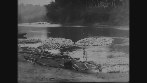 Barge loaded with cocoanuts sails in river - 1917 - 1930 Video stock 86445367