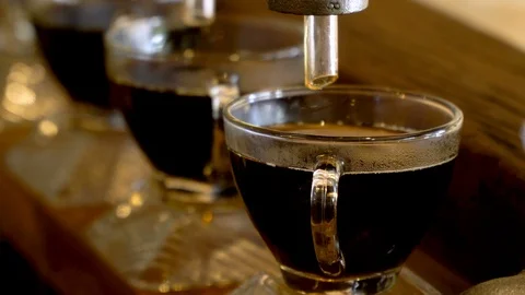 Barista brewing coffee, method pour over, drip coffee. Stock Footage 103127550