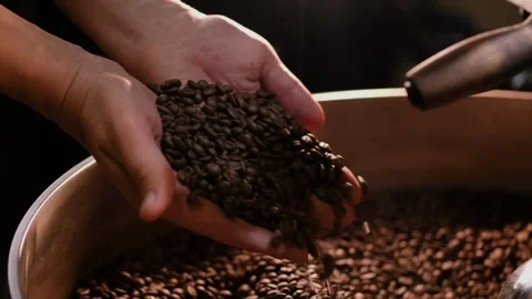 Barista hand with Coffee roasting bean after process in small roaster factory 스톡 동영상 334643767