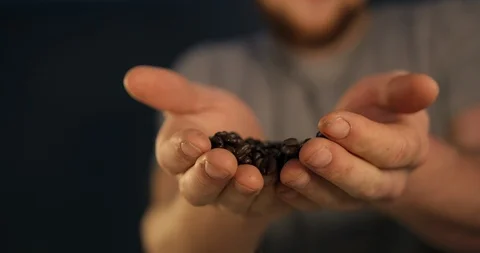 Barista Handling And Dropping Dark Aromatic Beans From Two Hands Stock Footage 113354879