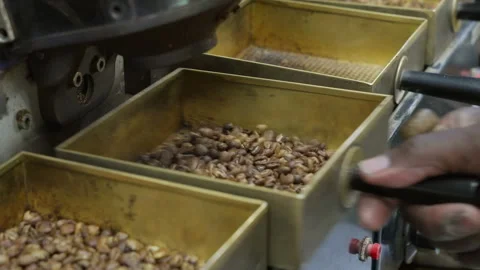 Barista Makes Preparations for Cupping Stock Footage 290075340