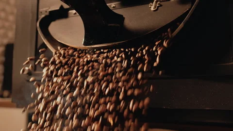 Barista opens roasting machine. Freshly roasted coffee beans fall out of Stock Footage 246764119