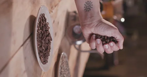 Barista Preparing Coffee Machine And Brewing Espresso Coffee At Cafe Vertical Stock Footage 237706527