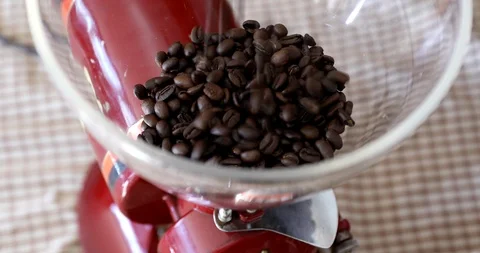 Barista putting roasted coffee beans into  grind coffee machine Stock Footage 103297618
