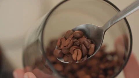 Barista scoops beans with precision. Closeup of coffee bean handling in kitchen Stock Footage 342064301