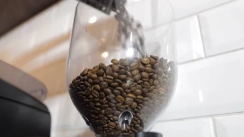 Barista will feed coffee beans in a professional coffee grinder Stock Footage 172342634