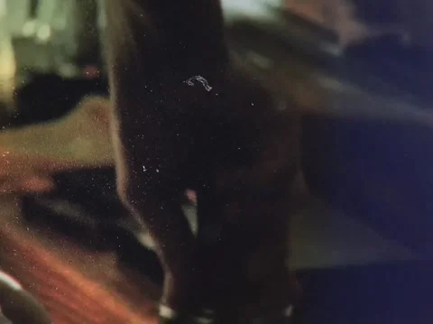 Barista working on espresso machine making coffee shot on super 8mm film 動画素材 247133182