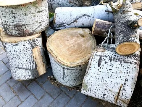 Bark and tree slices Stock Photos