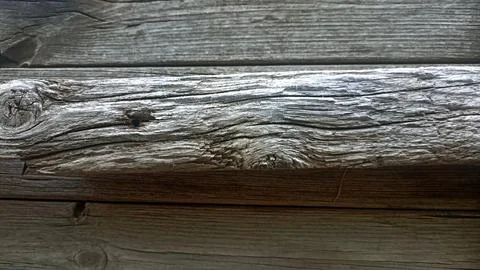 Bark background, tree bark background, grey bark with cracks Stock Photos