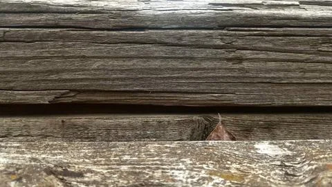Bark background, tree bark background, grey bark with cracks Stock Photos
