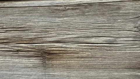 Bark background, tree bark background, grey bark with cracks Stock Photos