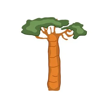 Bark baobab tree cartoon vector illustration Stock Illustration
