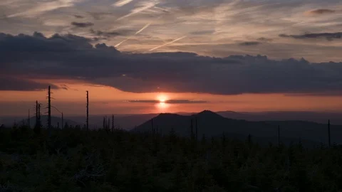 Bark Beetle Dead Trees Sunset Timelapse. 스톡 동영상 123213632