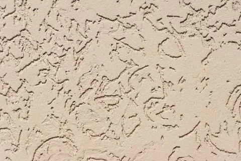 Bark beetle plaster Stock Photos
