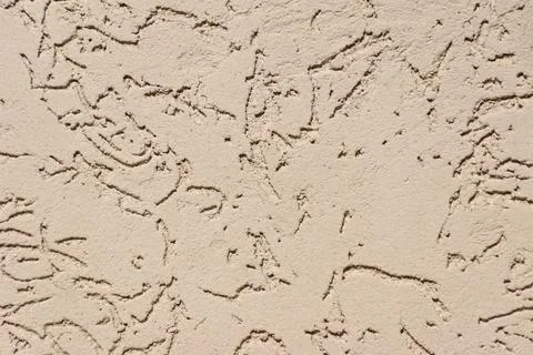 Bark beetle plaster texture Stock Photos