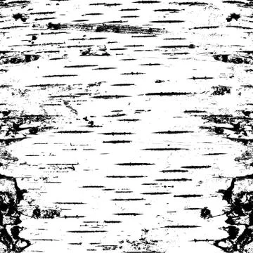 Bark of birch in the cracks texture. Vector illustration. Stock Illustration