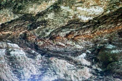 The bark of the birch macro background Stock Photos