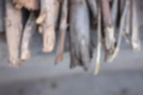 Bark blurred background Stock Photos