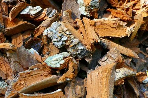 Bark Chippings. Stock Photos