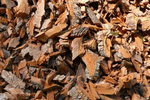Bark Chippings. Stock Photos