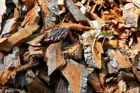 Bark Chippings. Stock Photos