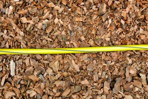 Bark Chippings. Stock Photos