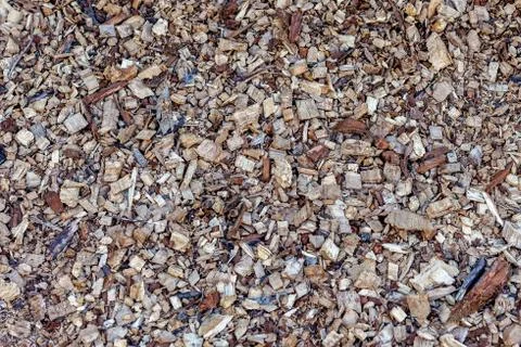 Bark Covering Stockfoto's