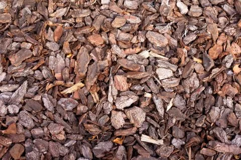 Bark mulch background Stock Photos