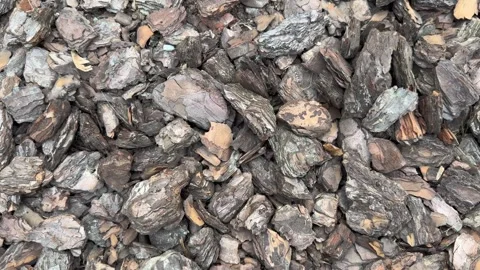 Bark mulch covers the ground in a garden area for landscaping  Stock Footage 331928033