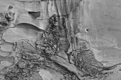 The bark of an old tree. dark gray texture Stock Photos