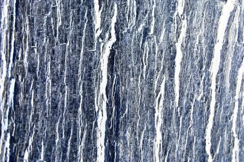 The bark Stock Photos