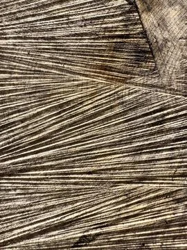 Bark Stock Photos