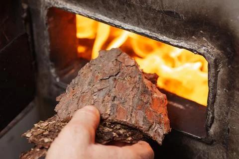 Bark of a pine tree in hand of a man while throwing it into solid fuel boiler Stock Photos
