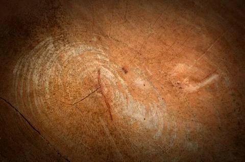 Bark texture background pattern crack old brown for design Stock Photos