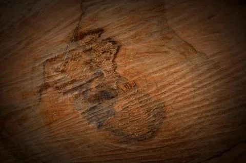 Bark texture background pattern crack old brown for design Stock Photos