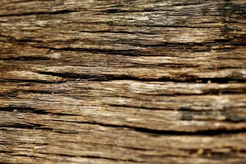 Bark texture background , wallpaper , pattern close up Stock Photos