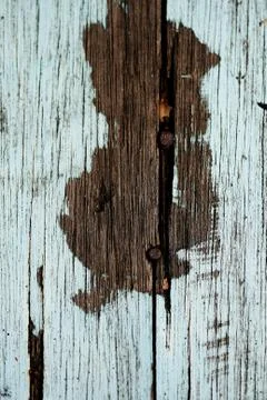 Bark texture background , wallpaper , pattern close up Stock Photos